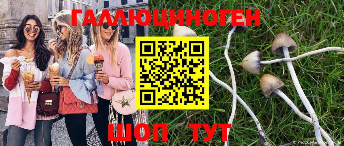 Севастополь  Галлюциногенные грибы GOLDEN TEACHER  Галлюциногенные грибы Psilocybe  Вход с VPN 
